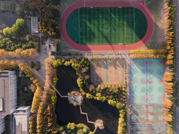 Le piège des régimes hyperprotéinés en musculation